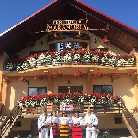 Pensiunea Maramures Ocna Şugatag Extérieur photo