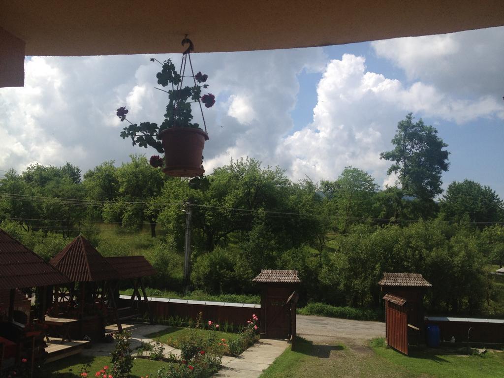 Pensiunea Maramures Ocna Şugatag Extérieur photo