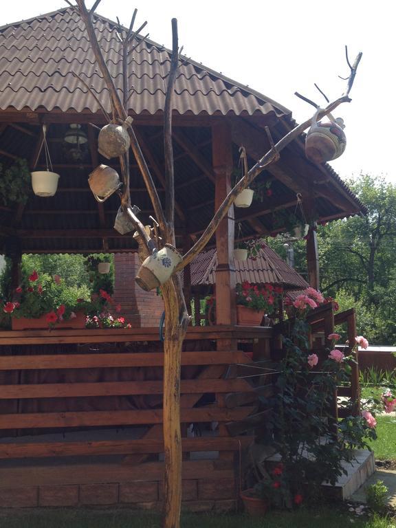 Pensiunea Maramures Ocna Şugatag Extérieur photo