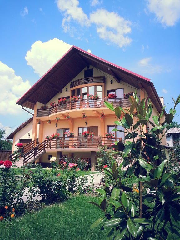 Pensiunea Maramures Ocna Şugatag Extérieur photo