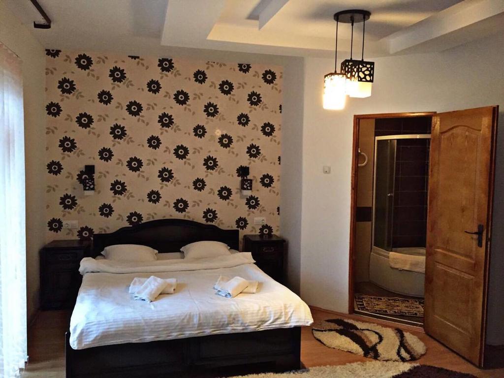 Pensiunea Maramures Ocna Şugatag Extérieur photo