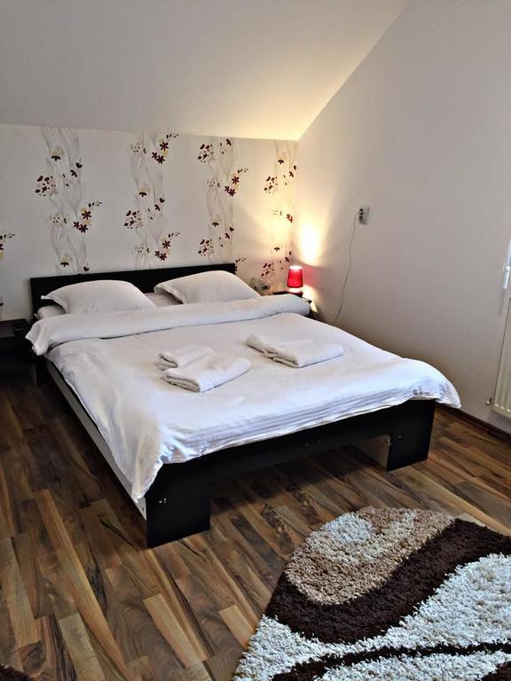 Pensiunea Maramures Ocna Şugatag Extérieur photo