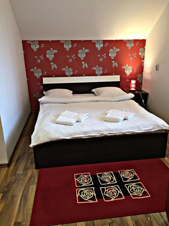 Pensiunea Maramures Ocna Şugatag Extérieur photo