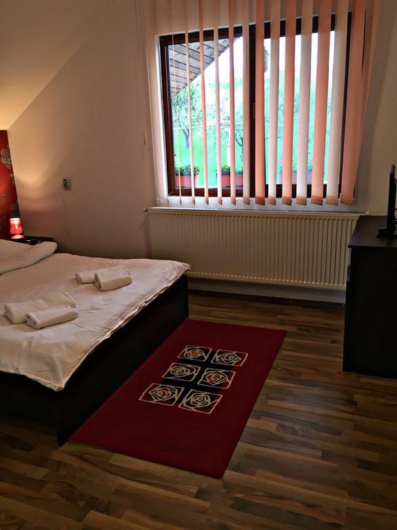 Pensiunea Maramures Ocna Şugatag Extérieur photo