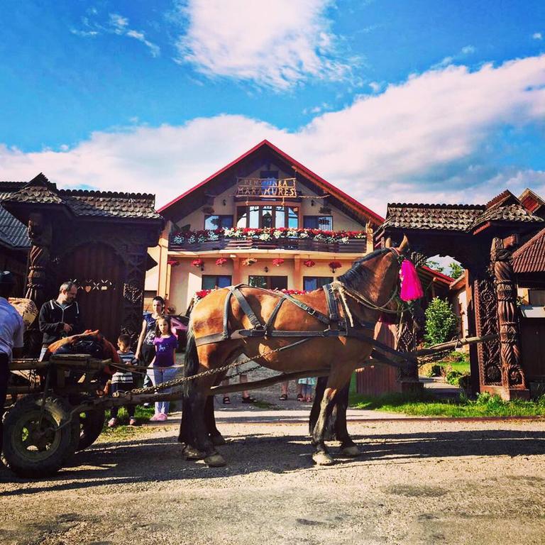 Pensiunea Maramures Ocna Şugatag Extérieur photo