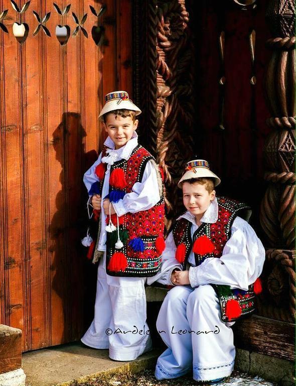 Pensiunea Maramures Ocna Şugatag Extérieur photo